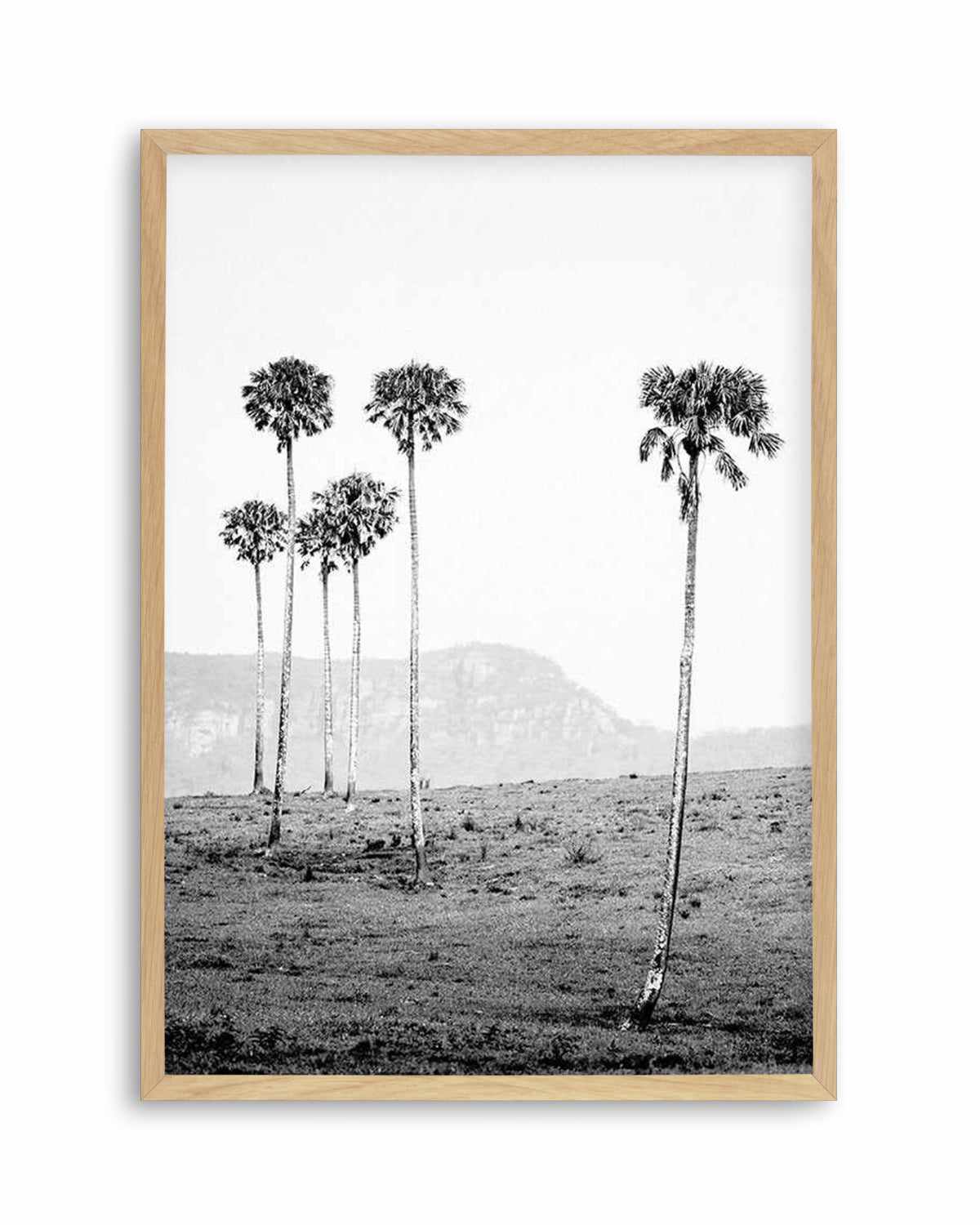 Island Luxe IV | The Lost Palms   Art Print