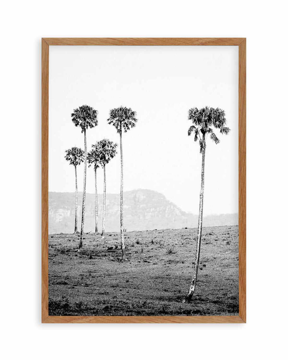 Island Luxe IV | The Lost Palms   Art Print