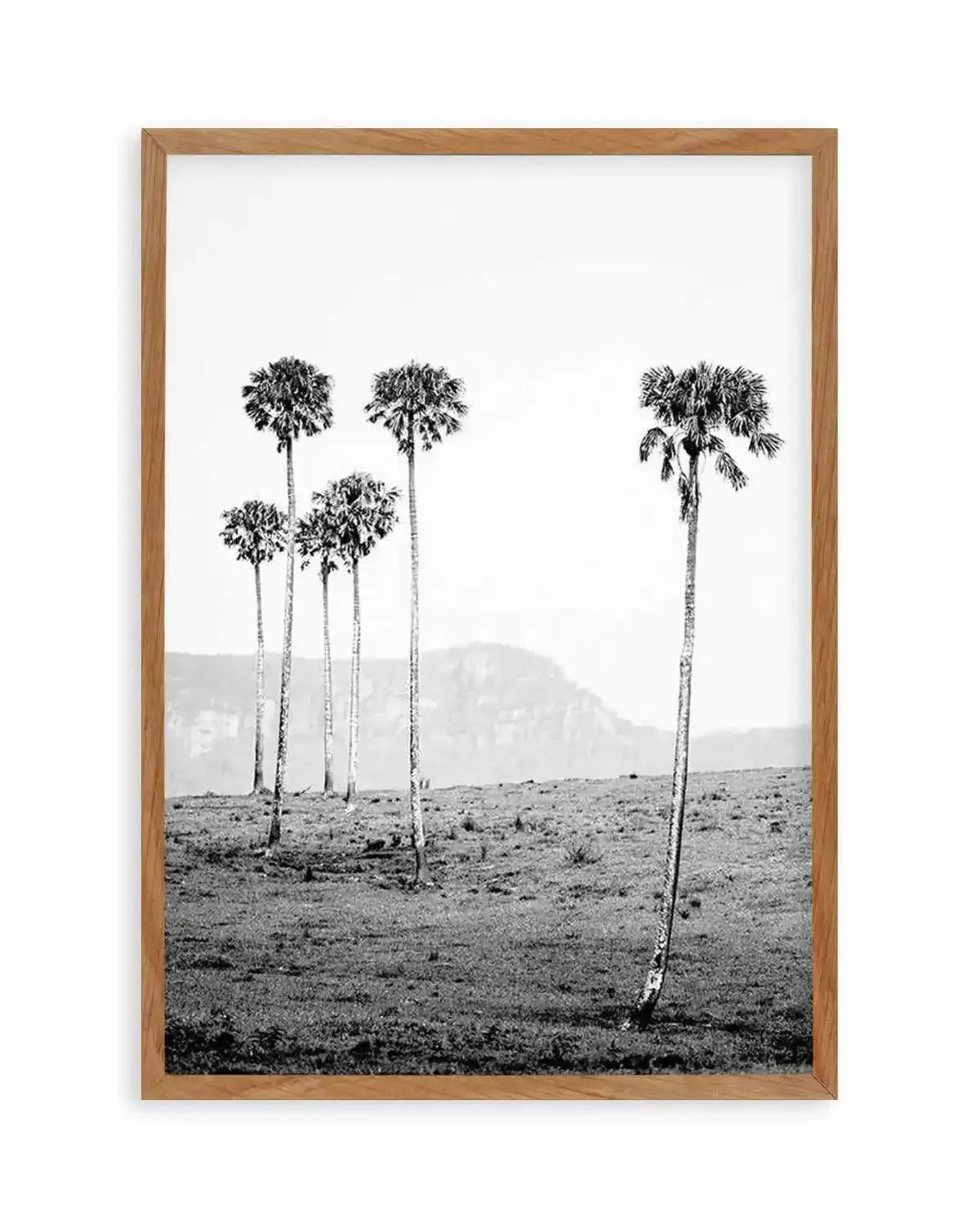 Island Luxe IV | The Lost Palms Art Print from Olive et Oriel where you can shop wallpaper and artworks online
