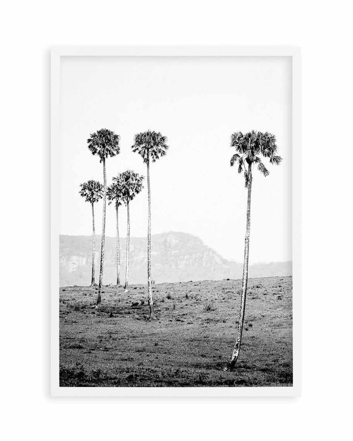 Island Luxe IV | The Lost Palms   Art Print