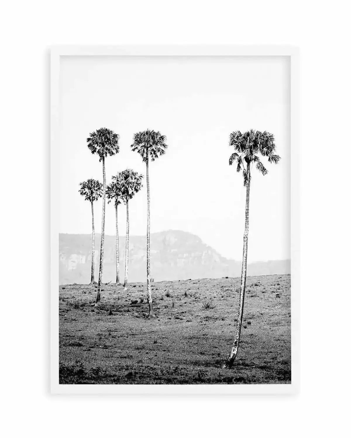 Island Luxe IV | The Lost Palms Art Print from Olive et Oriel where you can shop wallpaper and artworks online