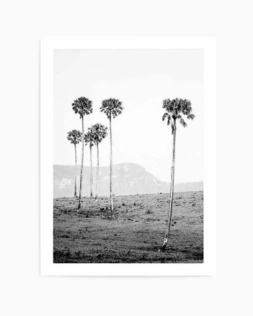 Island Luxe IV  The Lost Palms   Art Print art print, framed