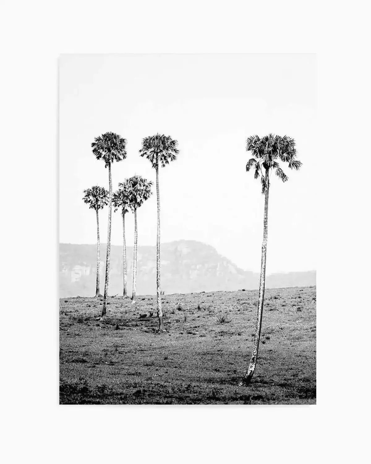 Island Luxe IV | The Lost Palms Art Print from Olive et Oriel where you can shop wallpaper and artworks online