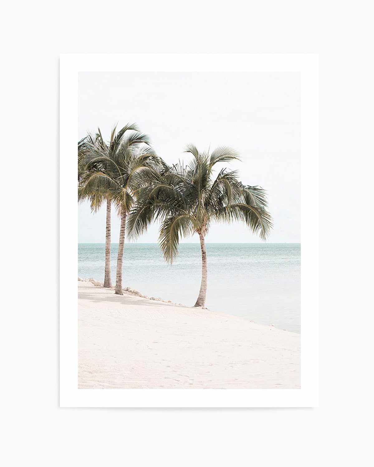 Island Palms Art Print