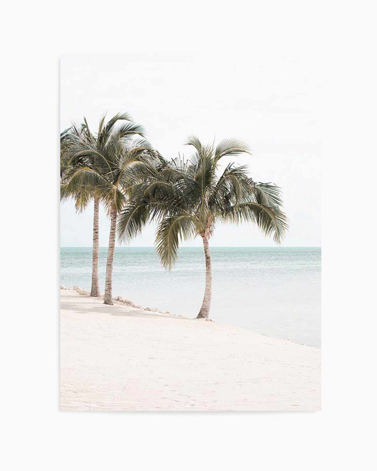 Island Palms Art Print