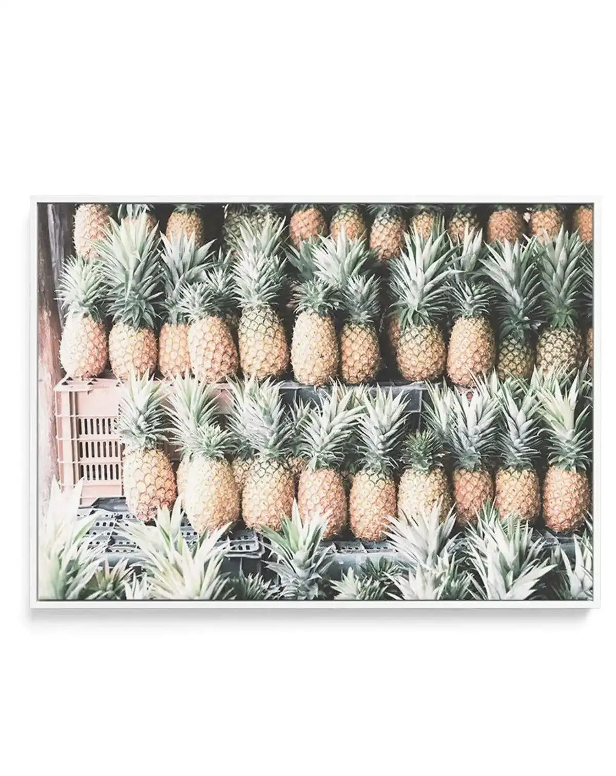 Island Road Trip | Pineapples | Framed Canvas-CANVAS-You can shop wall art online with Olive et Oriel for everything from abstract art to fun kids wall art. Our beautiful modern art prints and canvas art are available from large canvas prints to wall art paintings and our proudly Australian artwork collection offers only the highest quality framed large wall art and canvas art Australia - You can buy fashion photography prints or Hampton print posters and paintings on canvas from Olive et Oriel 