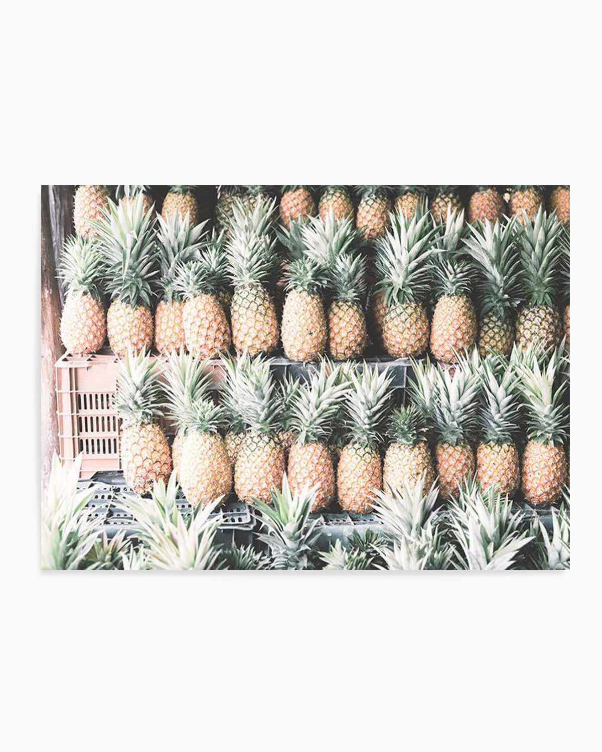 Island Road Trip | Pineapples Art Print