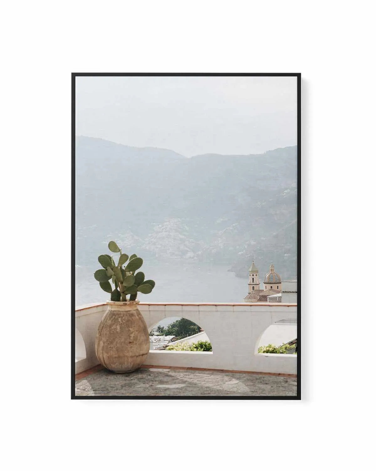 Italian Cactus by Renee Rae | Framed Canvas Art Print from Olive et Oriel where you can shop wallpaper and artworks online