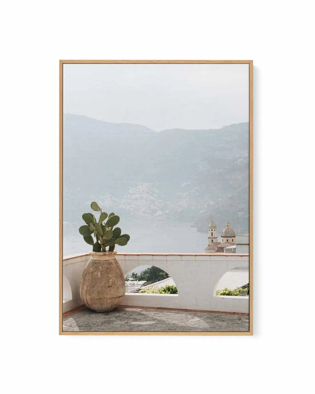 Italian Cactus by Renee Rae | Framed Canvas Art Print from Olive et Oriel where you can shop wallpaper and artworks online