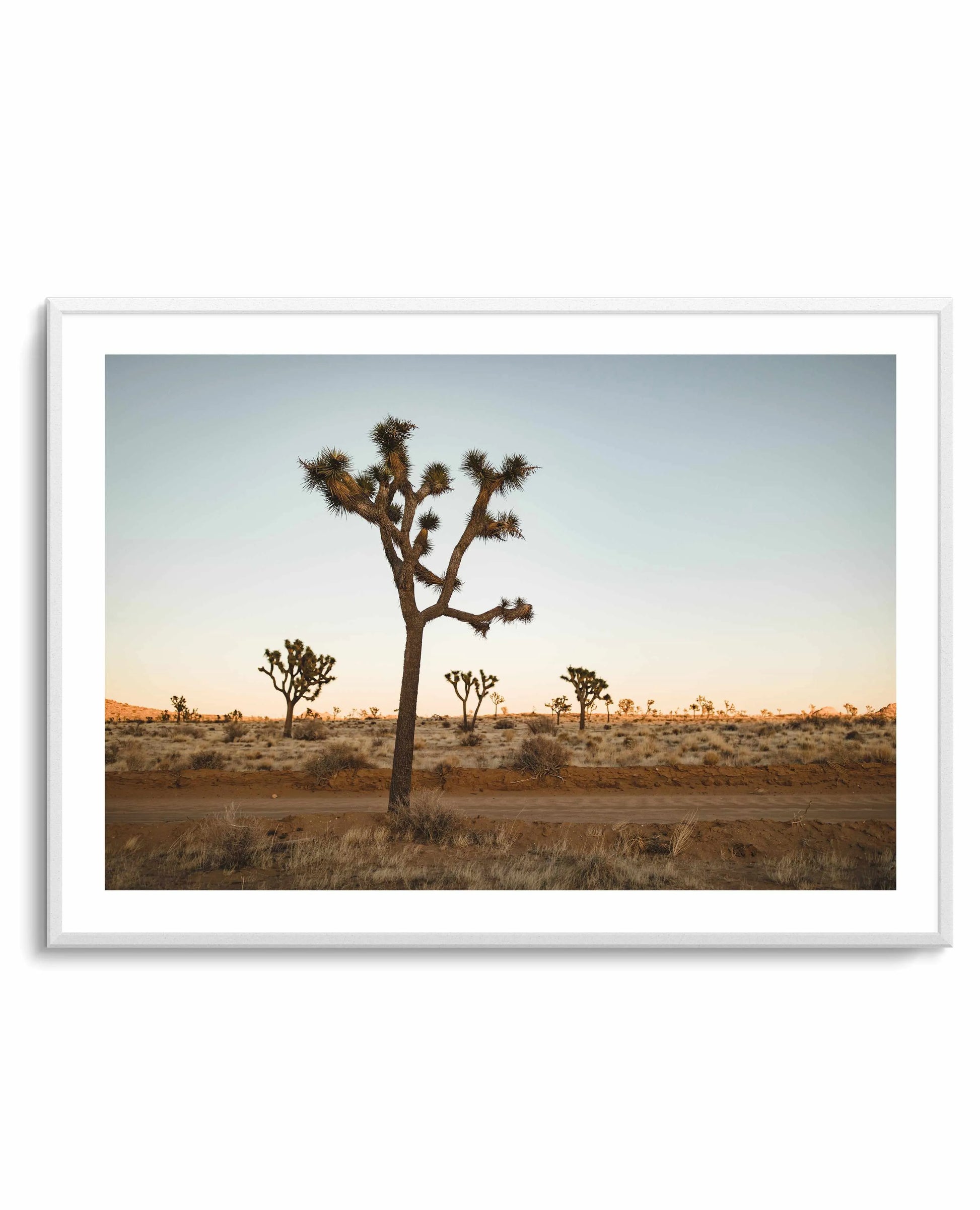 Joshua Tree by Kalen X | Art Print from Olive et Oriel where you can shop wallpaper and artworks online