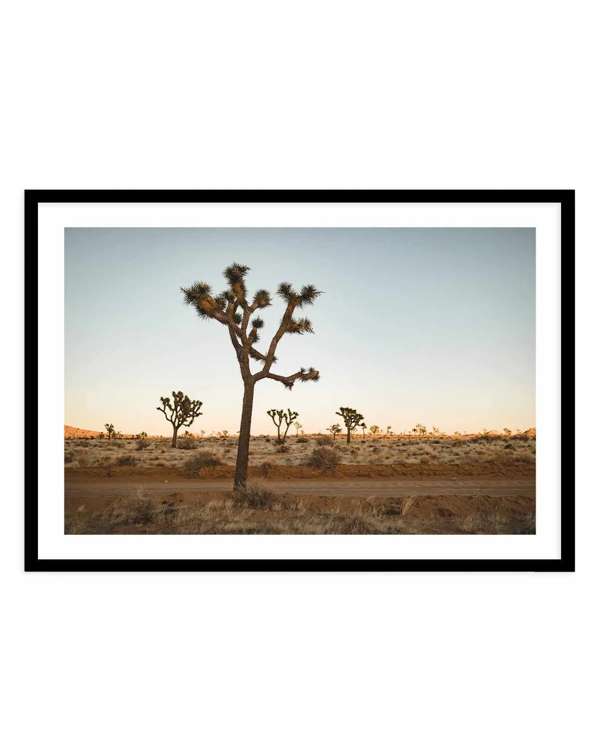 Joshua Tree by Kalen X | Art Print from Olive et Oriel where you can shop wallpaper and artworks online
