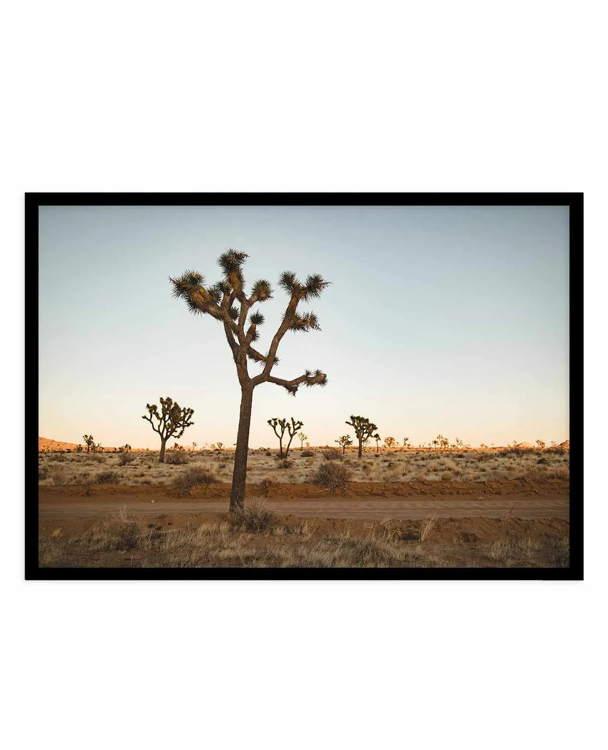 Joshua Tree by Kalen X | Art Print from Olive et Oriel where you can shop wallpaper and artworks online