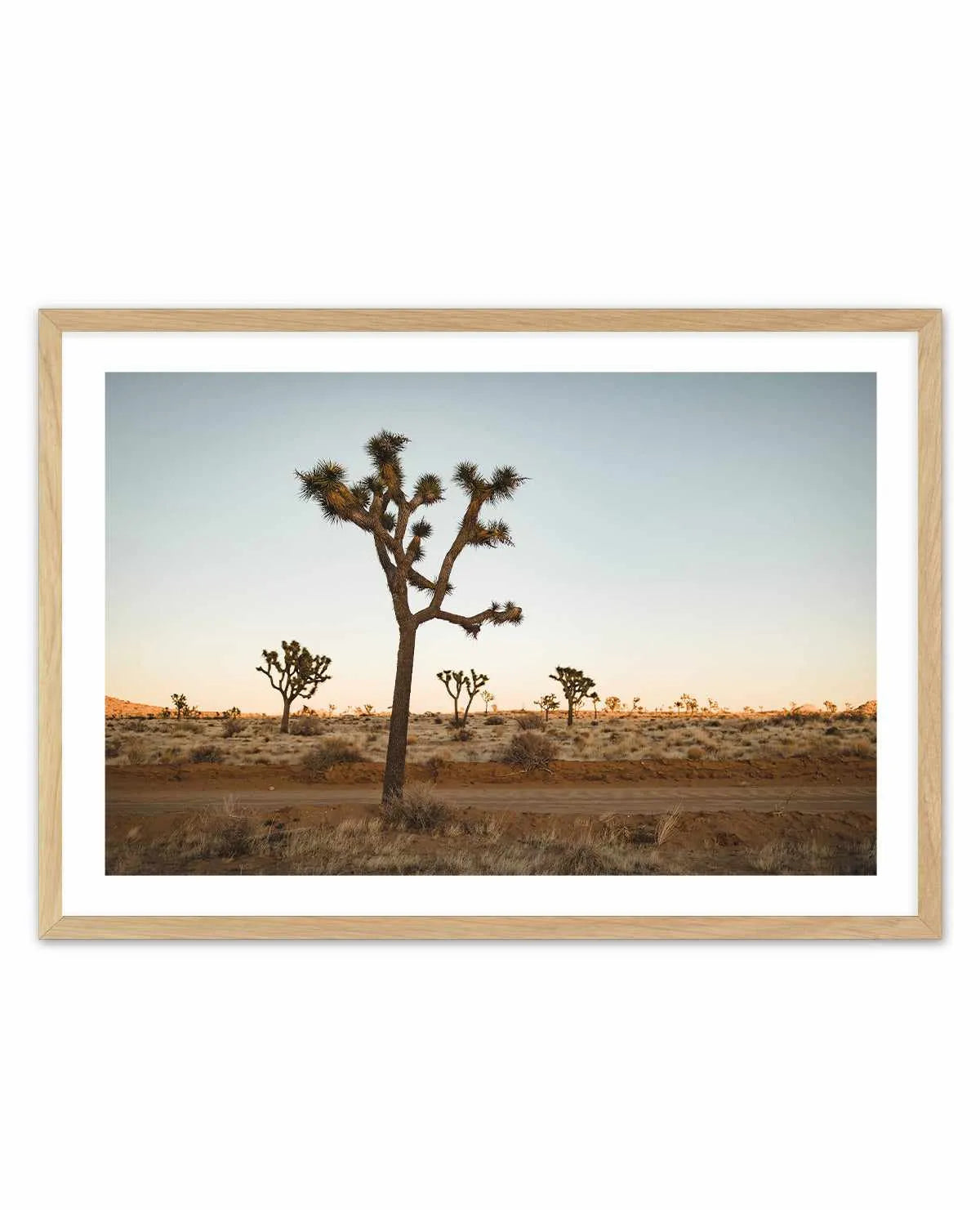 Joshua Tree by Kalen X | Art Print from Olive et Oriel where you can shop wallpaper and artworks online