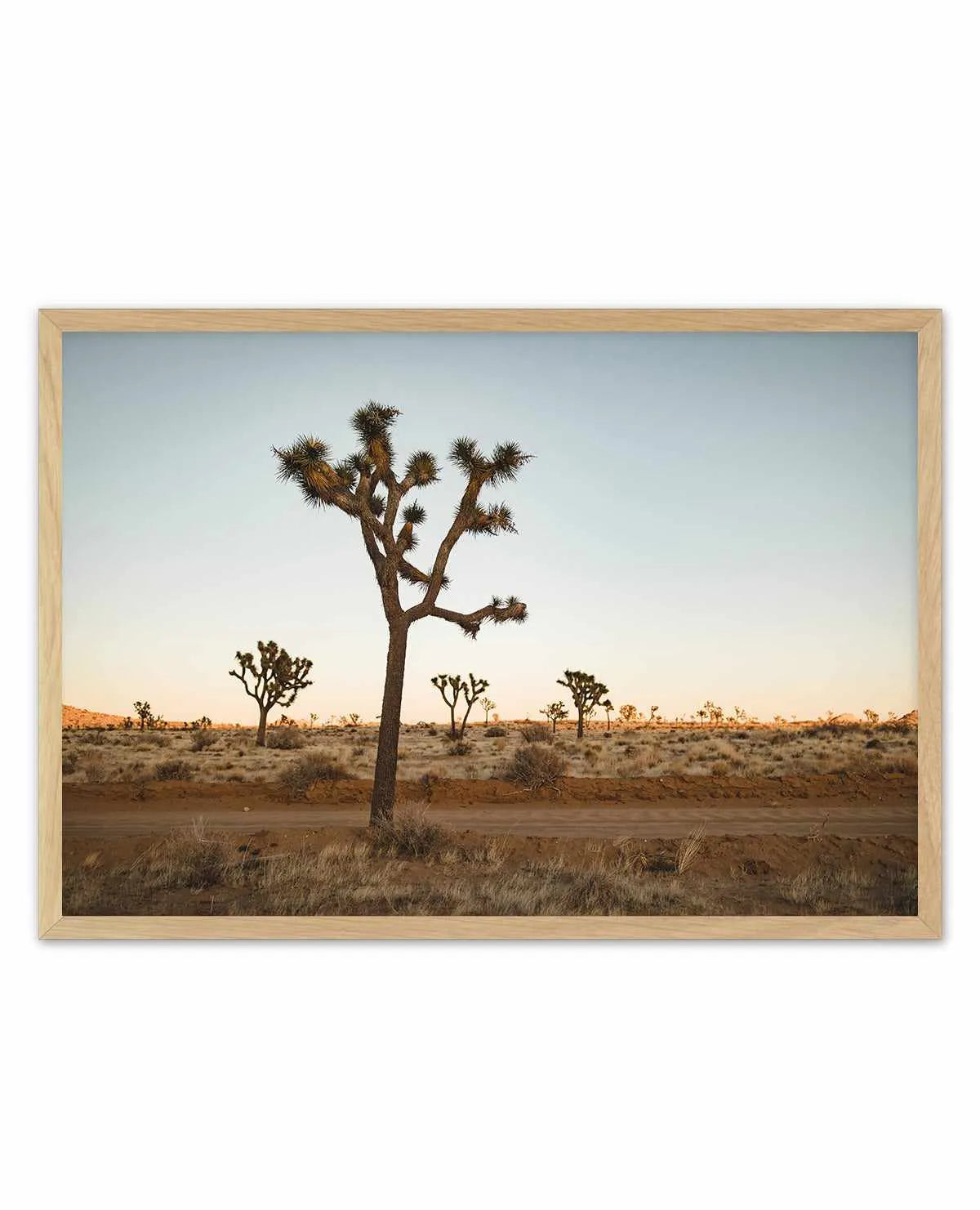 Joshua Tree by Kalen X | Art Print from Olive et Oriel where you can shop wallpaper and artworks online