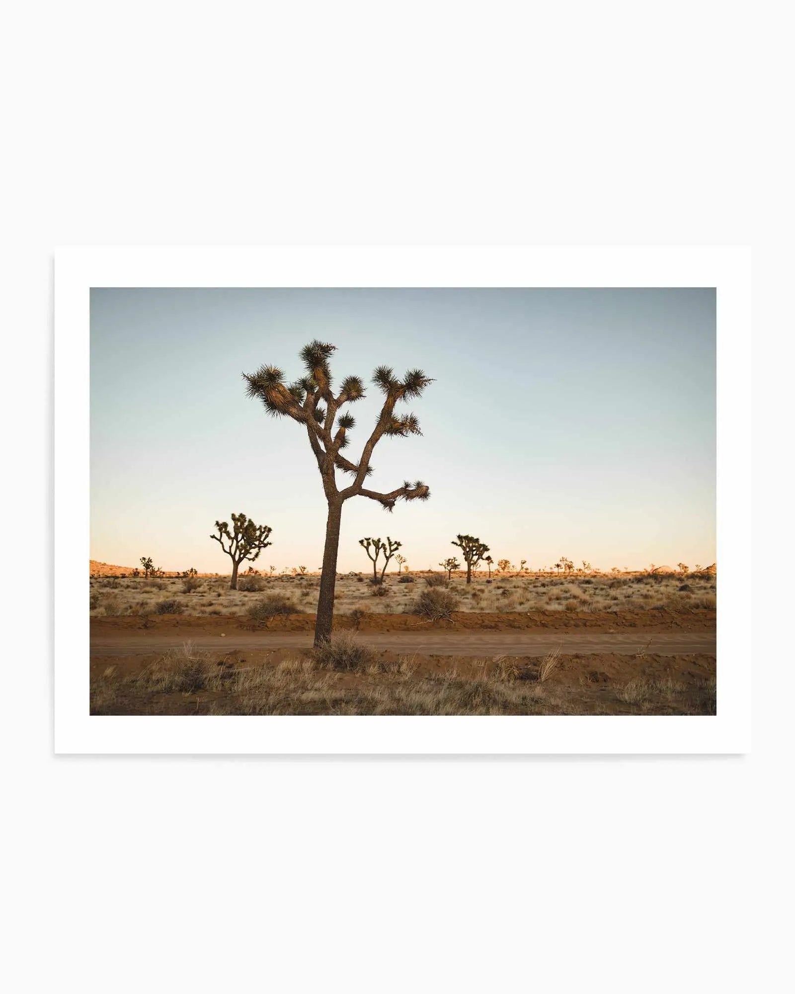 Joshua Tree by Kalen X | Art Print from Olive et Oriel where you can shop wallpaper and artworks online