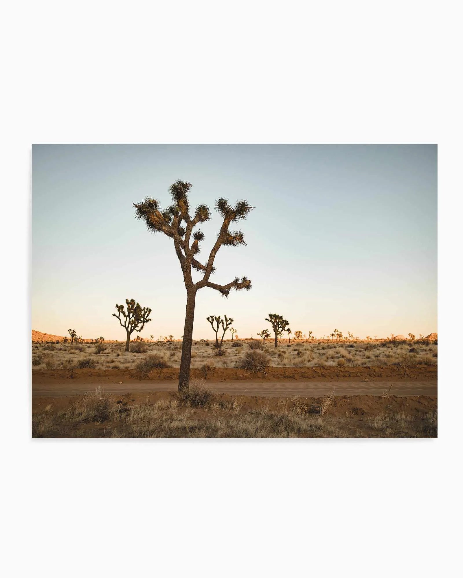 Joshua Tree by Kalen X | Art Print from Olive et Oriel where you can shop wallpaper and artworks online