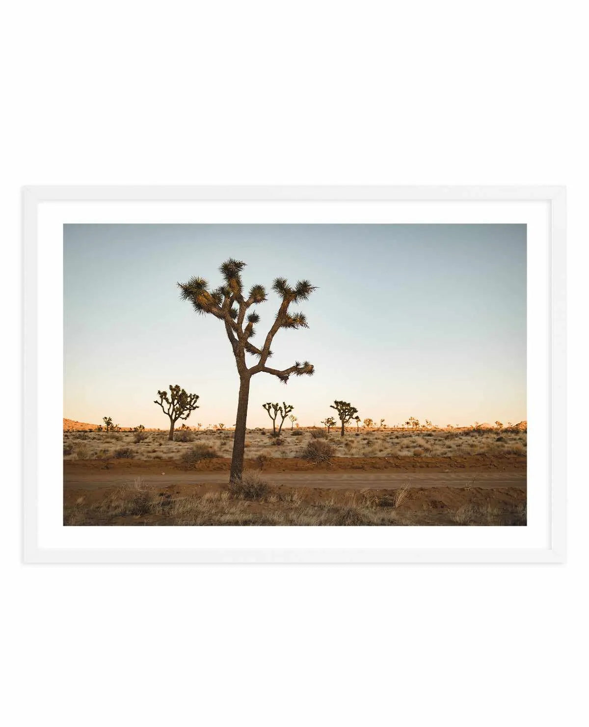 Joshua Tree by Kalen X | Art Print from Olive et Oriel where you can shop wallpaper and artworks online