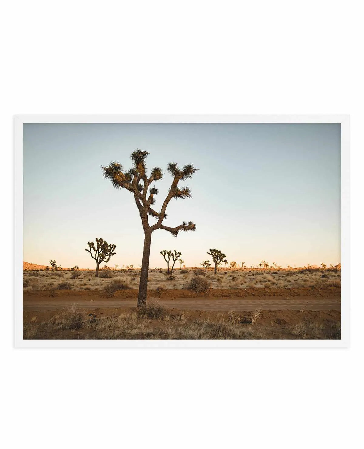 Joshua Tree by Kalen X | Art Print from Olive et Oriel where you can shop wallpaper and artworks online