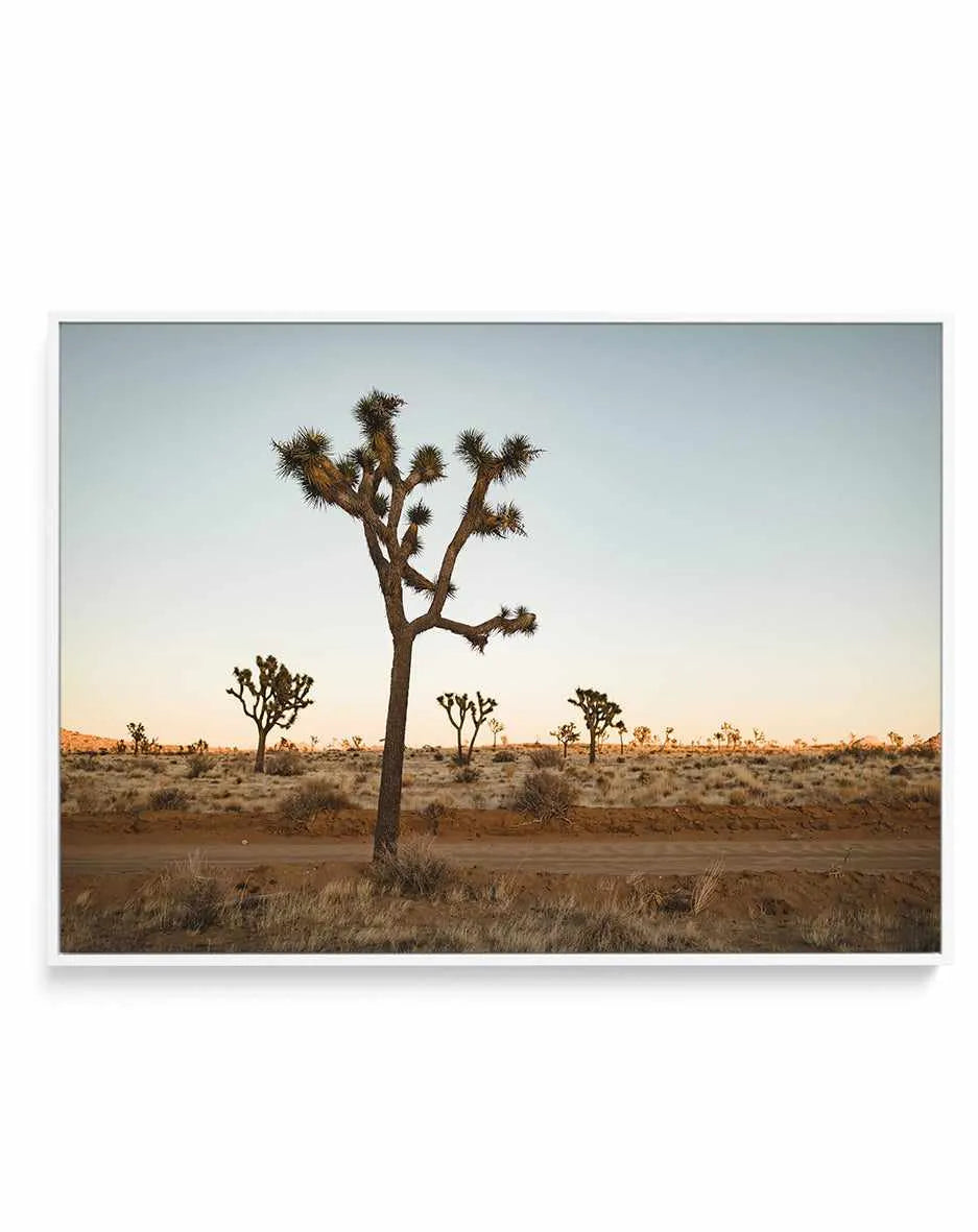Joshua Tree by Kalen X | Framed Canvas Art Print from Olive et Oriel where you can shop wallpaper and artworks online