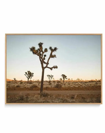 Joshua Tree by Kalen X | Framed Canvas Art Print from Olive et Oriel where you can shop wallpaper and artworks online