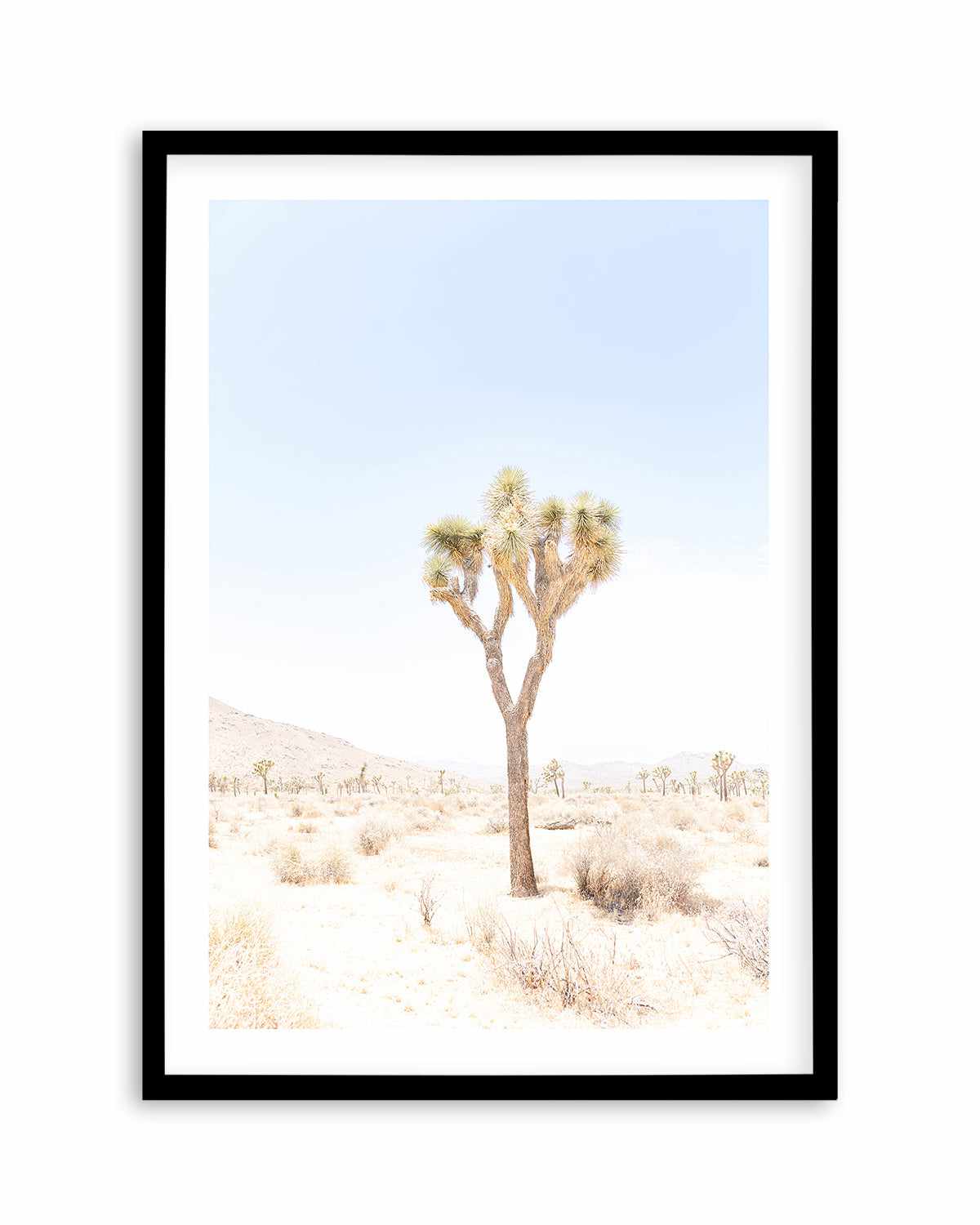 Joshua Tree I Art Print