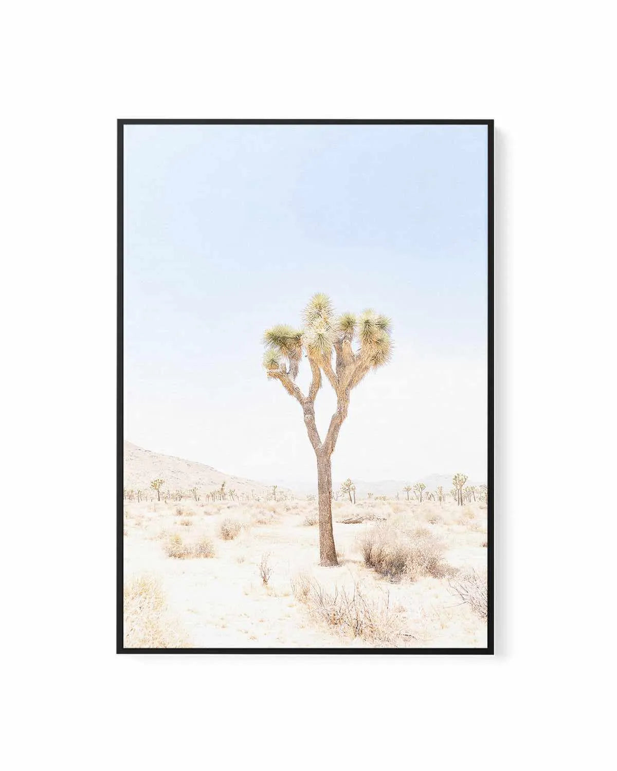 Joshua Tree I | Framed Canvas Art Print from Olive et Oriel where you can shop wallpaper and artworks online