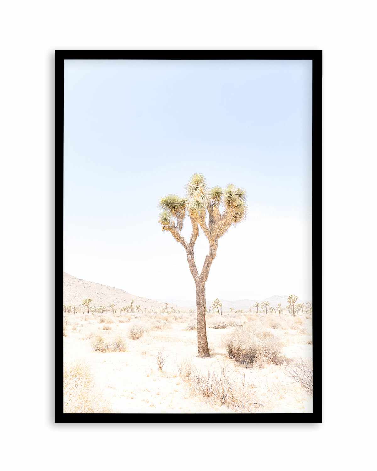 Joshua Tree I Art Print