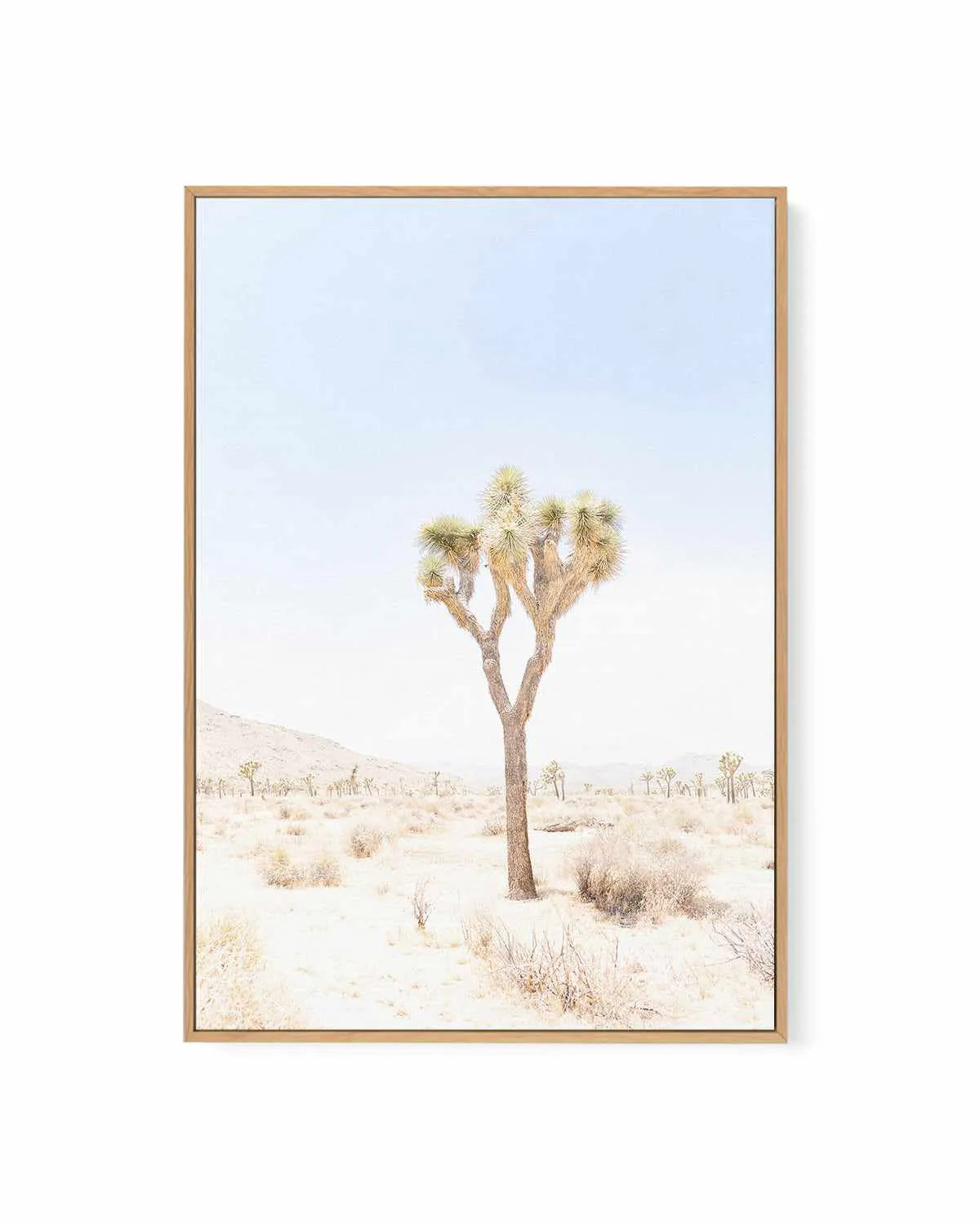 Joshua Tree I | Framed Canvas Art Print from Olive et Oriel where you can shop wallpaper and artworks online