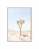 Joshua Tree I | Framed Canvas Art Print
