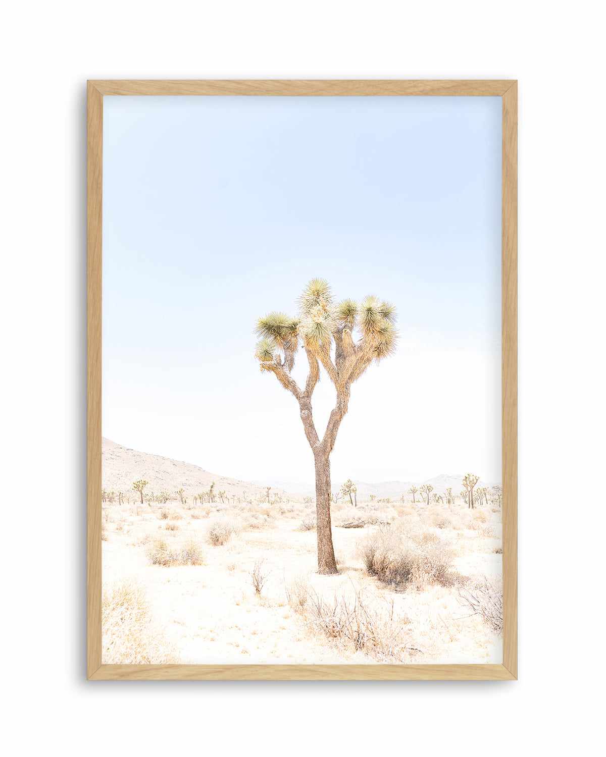 Joshua Tree I Art Print