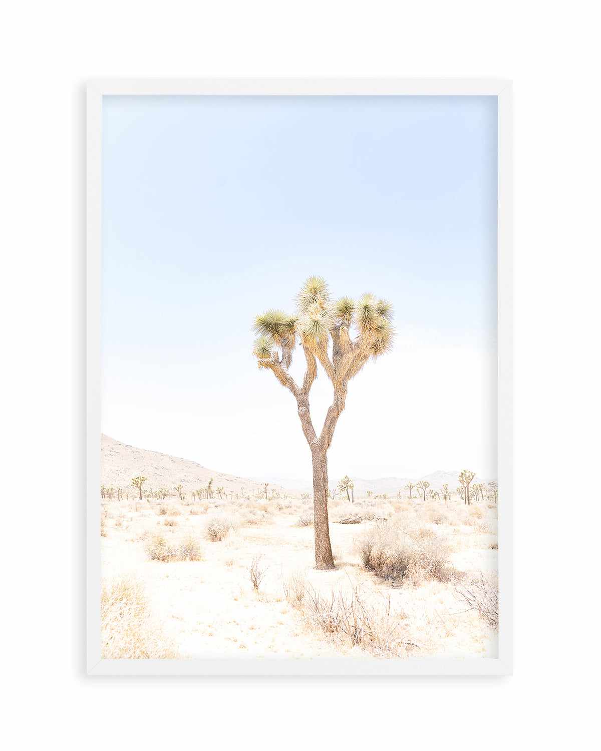 Joshua Tree I Art Print