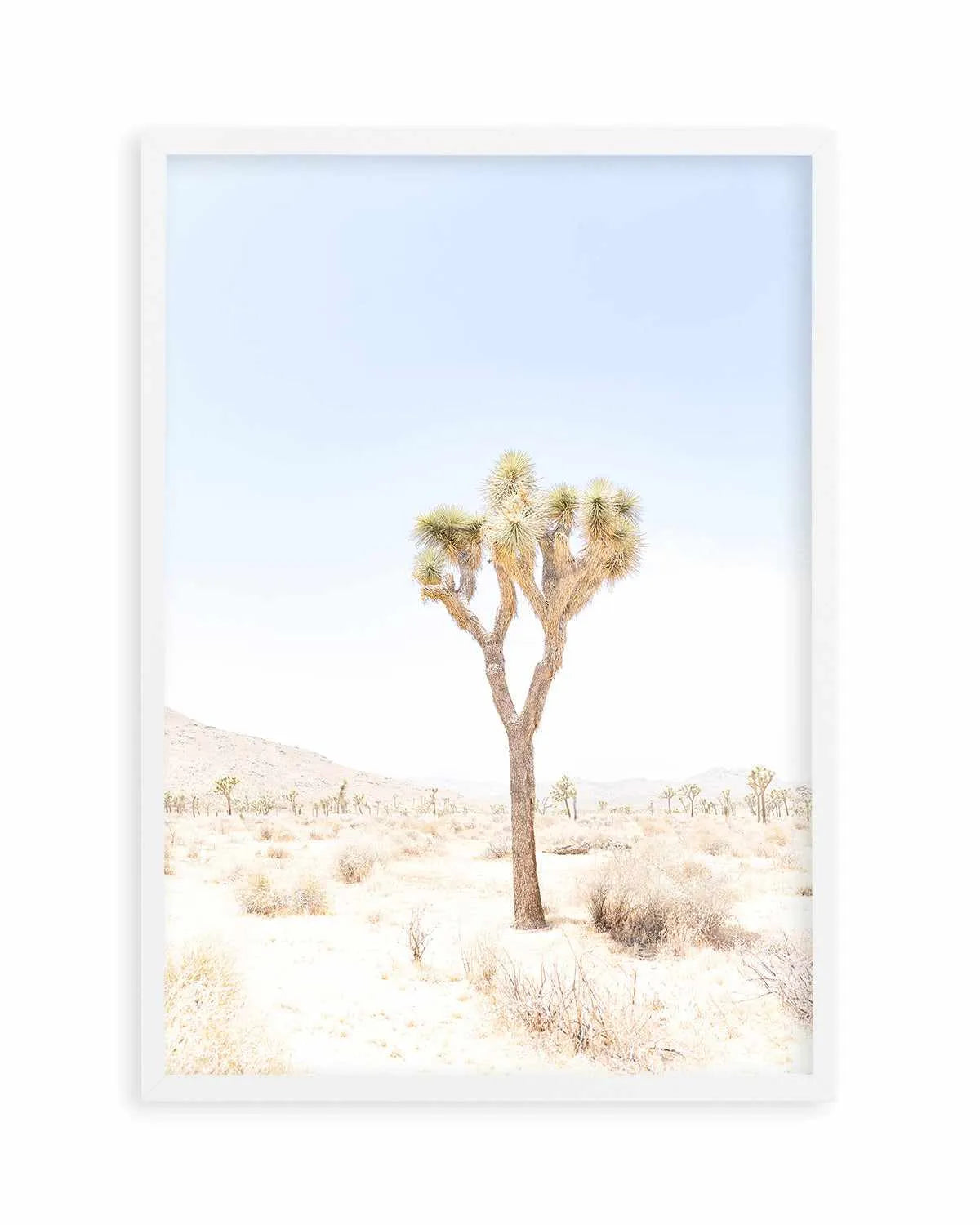 Joshua Tree I Art Print from Olive et Oriel where you can shop wallpaper and artworks online