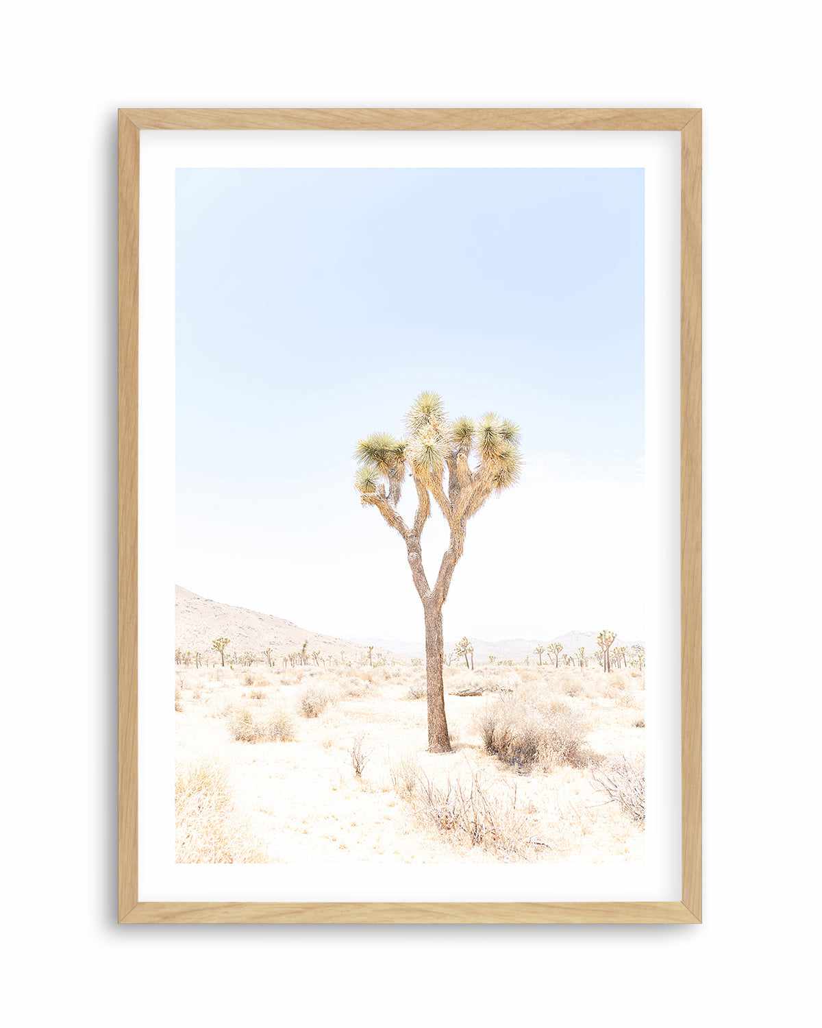 Joshua Tree I Art Print