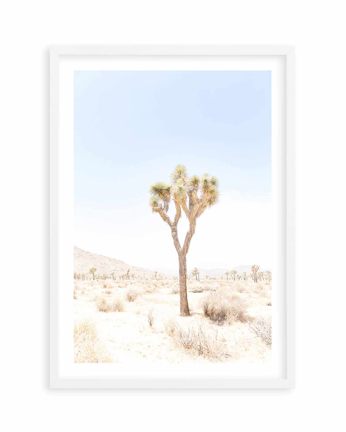 Joshua Tree I Art Print