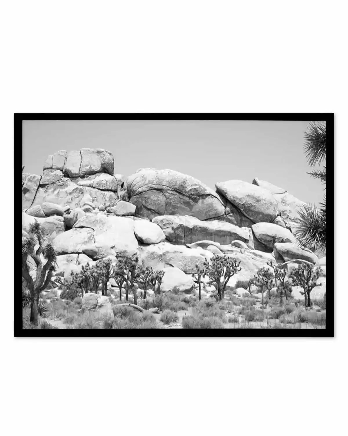 Joshua Tree I | B&W Art Print from Olive et Oriel where you can shop wallpaper and artworks online
