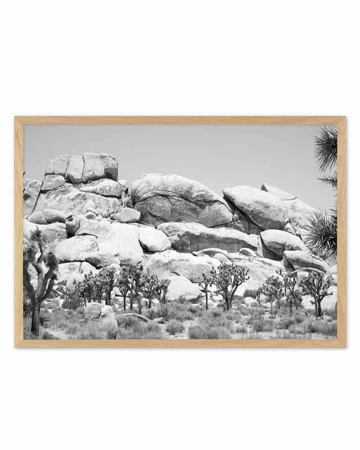 Joshua Tree I | B&W Art Print