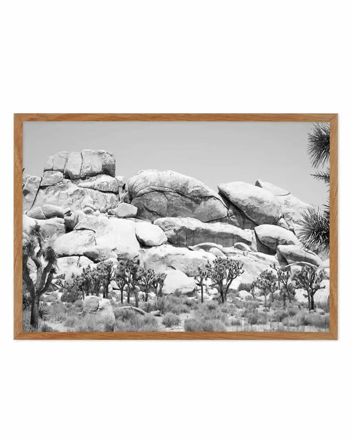 Joshua Tree I | B&W Art Print from Olive et Oriel where you can shop wallpaper and artworks online