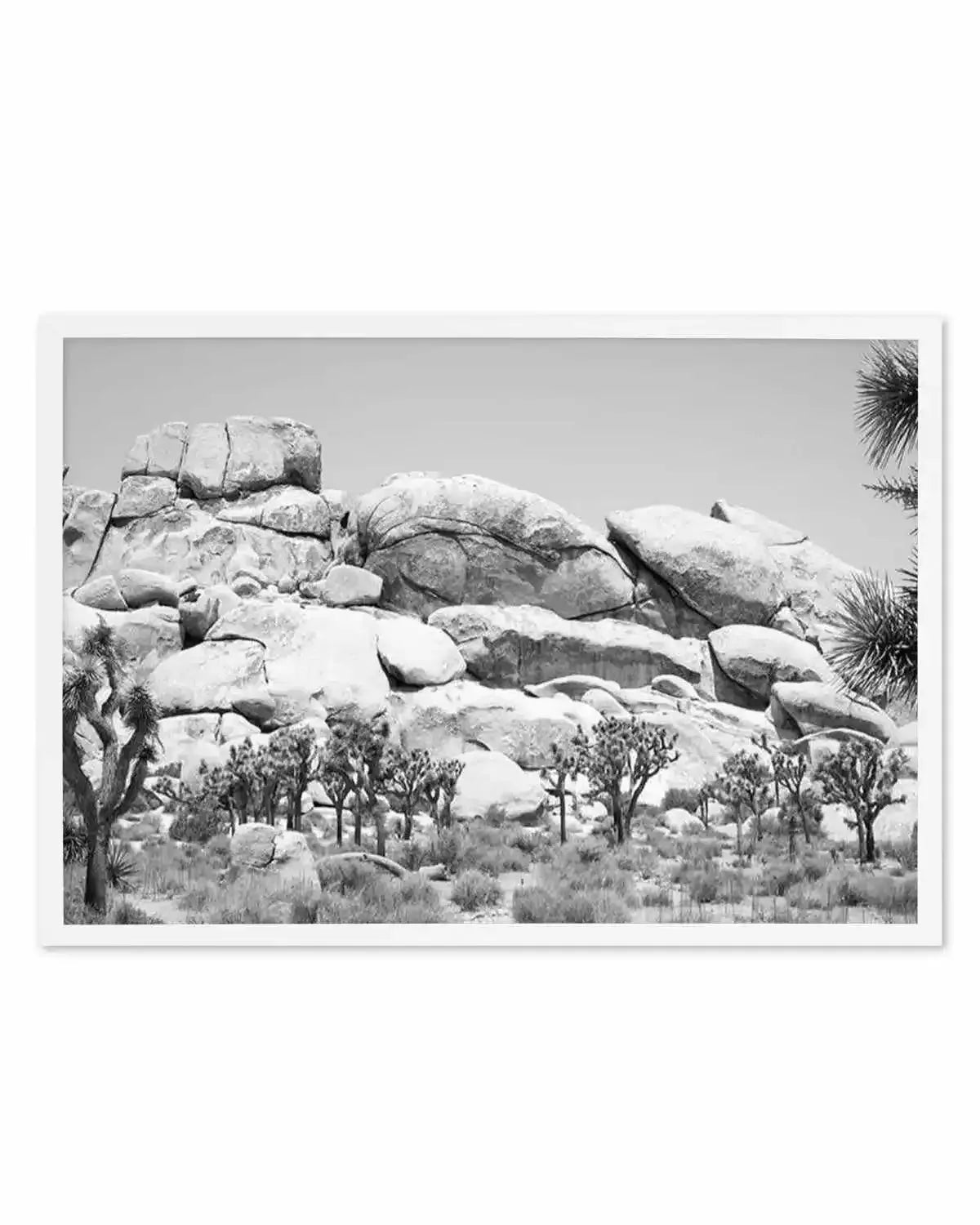 Joshua Tree I | B&W Art Print from Olive et Oriel where you can shop wallpaper and artworks online