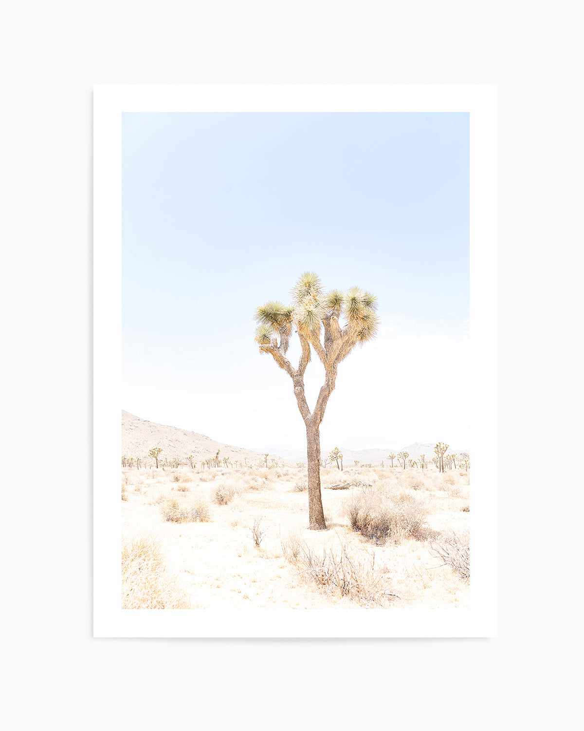 Joshua Tree I Art Print