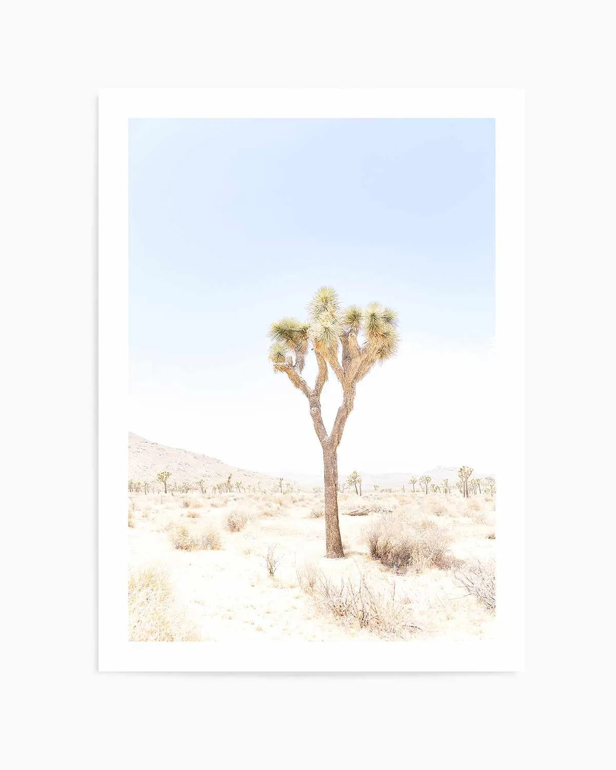 Joshua Tree I Art Print from Olive et Oriel where you can shop wallpaper and artworks online