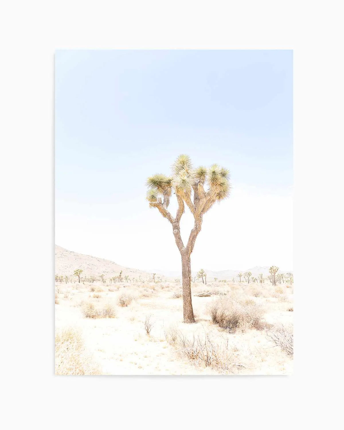Joshua Tree I Art Print from Olive et Oriel where you can shop wallpaper and artworks online