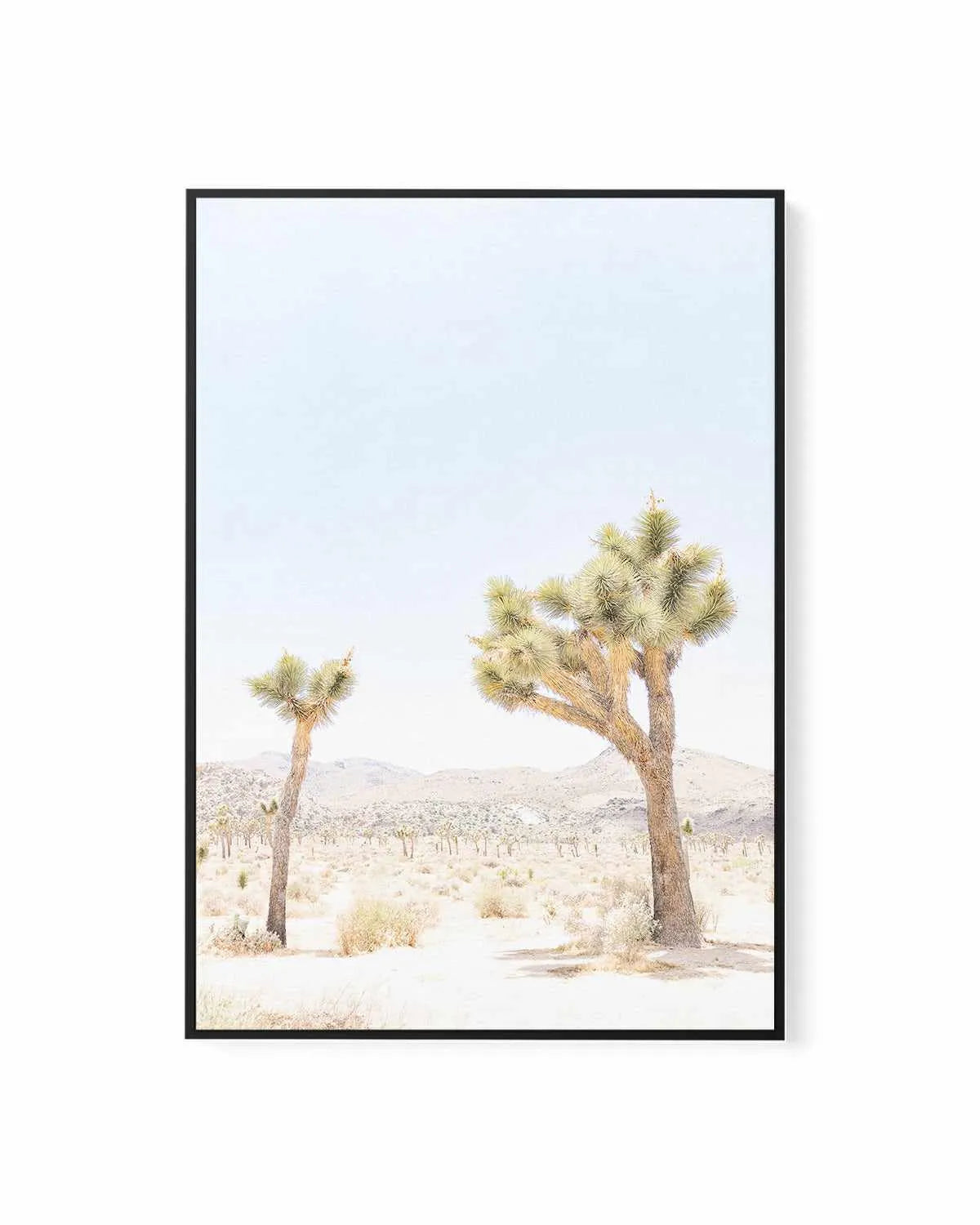 Joshua Tree II | Framed Canvas Art Print from Olive et Oriel where you can shop wallpaper and artworks online