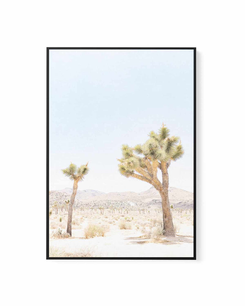 Joshua Tree II | Framed Canvas Art Print