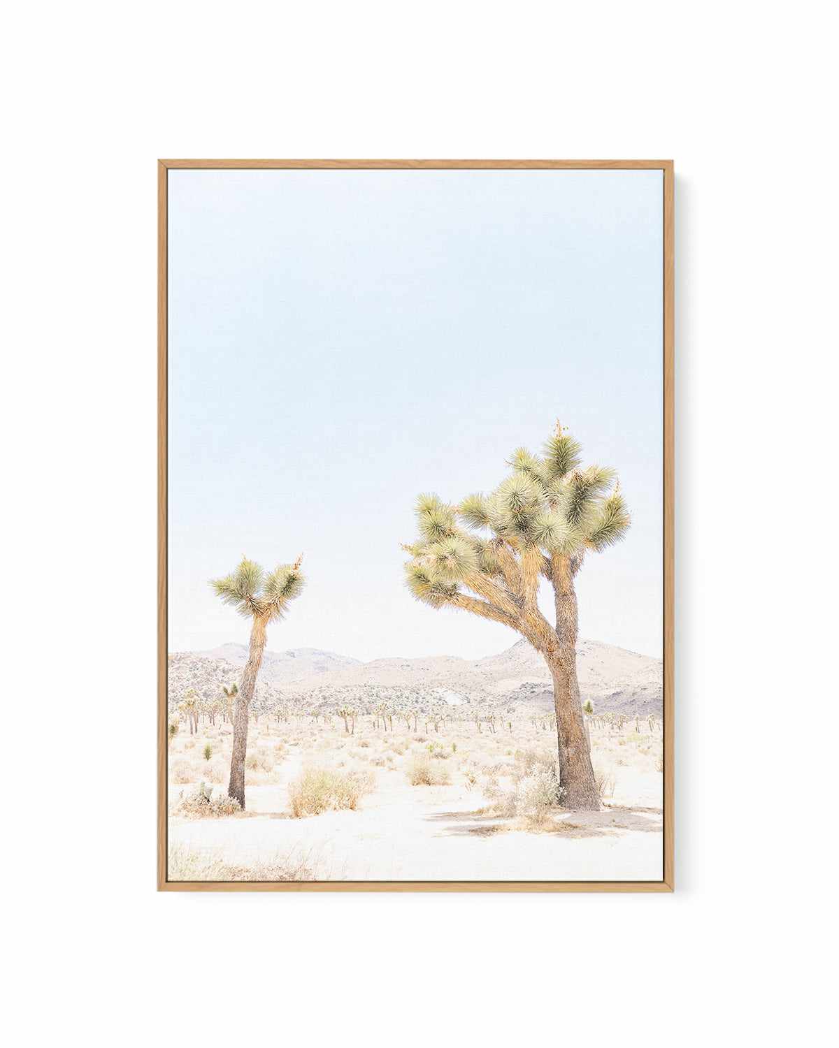 Joshua Tree II | Framed Canvas Art Print