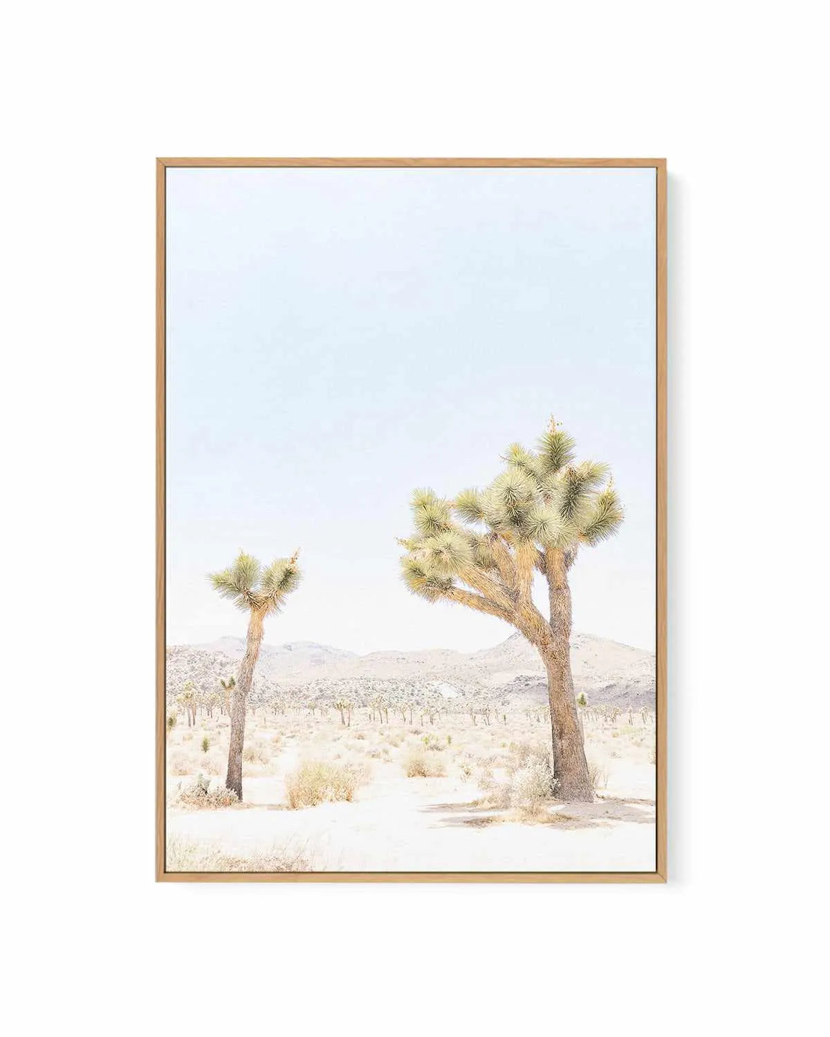 Joshua Tree II | Framed Canvas Art Print from Olive et Oriel where you can shop wallpaper and artworks online