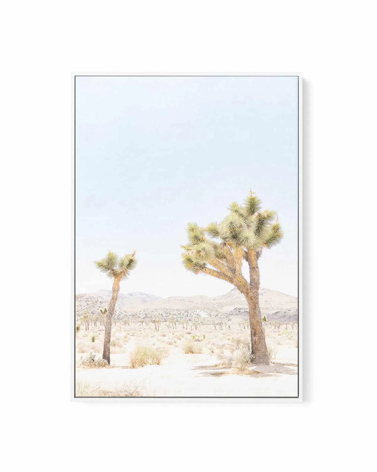 Joshua Tree II | Framed Canvas Art Print from Olive et Oriel where you can shop wallpaper and artworks online