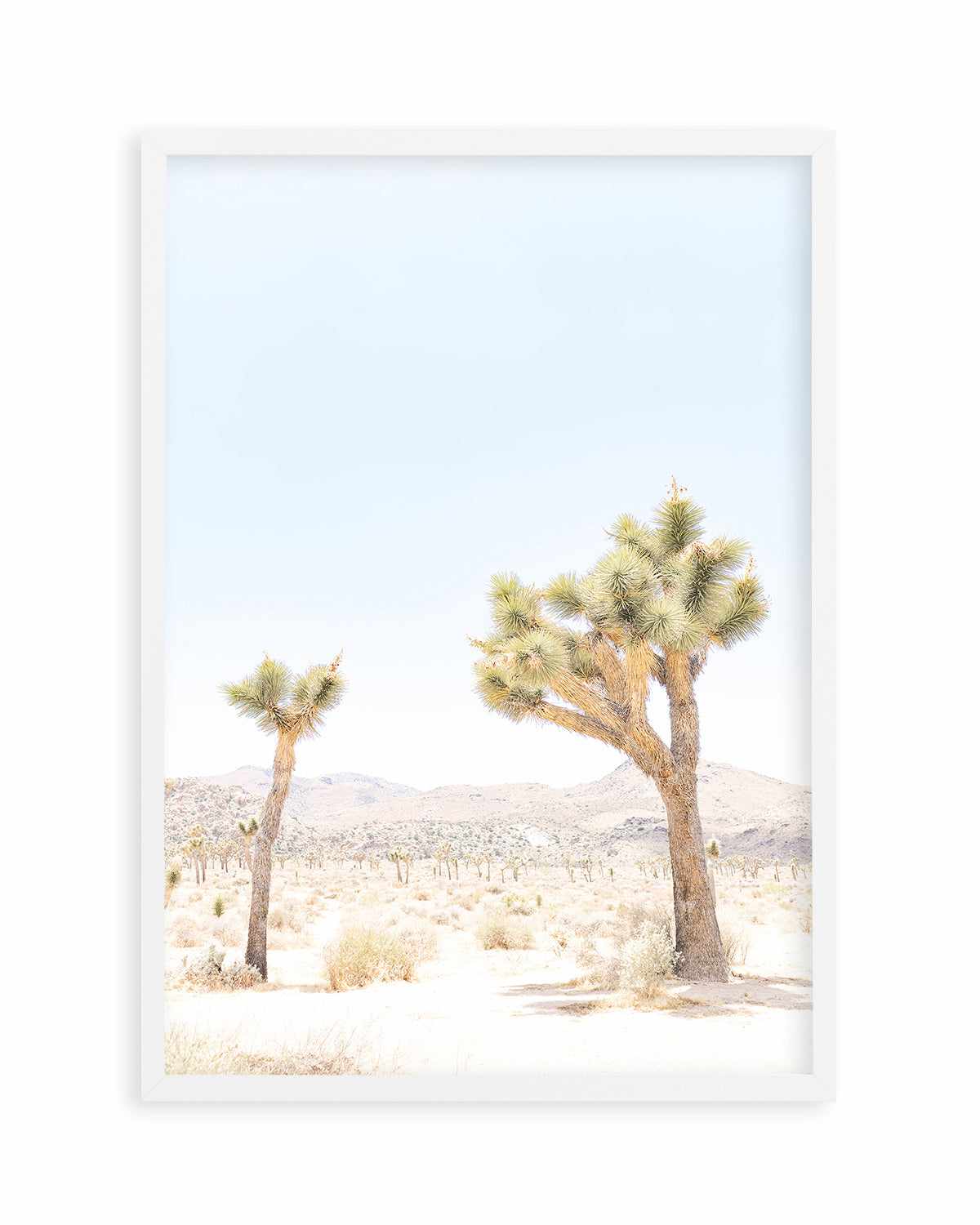 Joshua Tree II Art Print