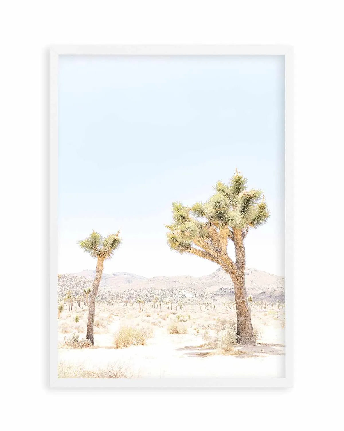Joshua Tree II Art Print from Olive et Oriel where you can shop wallpaper and artworks online