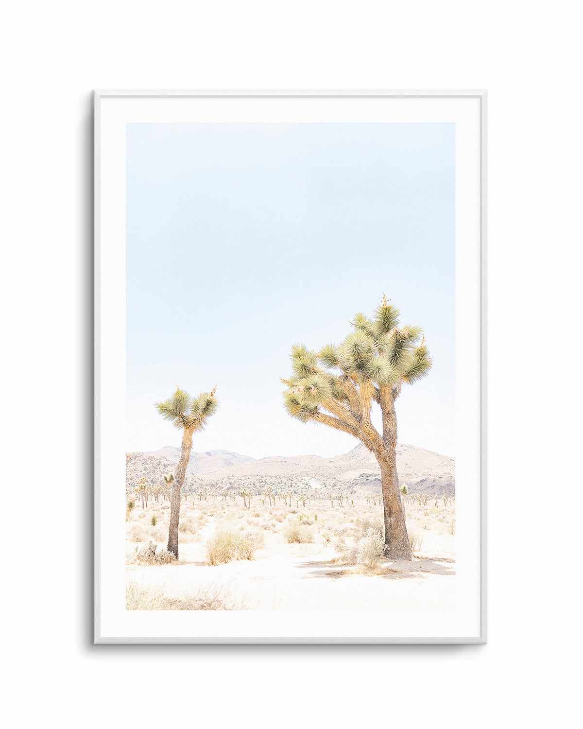 Joshua Tree II Art Print