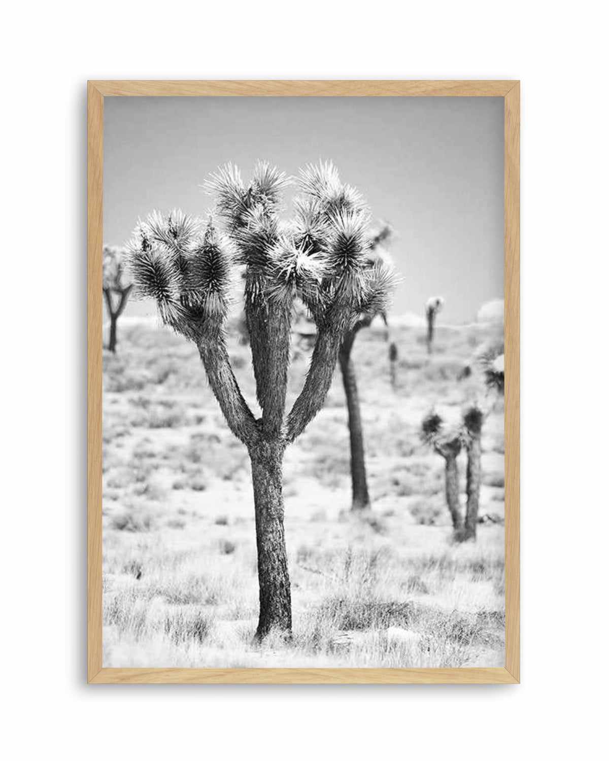 Joshua Tree II | B&W Art Print